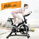 Indoor Cycling Bike with Quiet Flywheel & Pulse Sensor/Ipad Mount Pro Exercise Bike/Silver