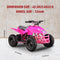 Kids 24V Battery Powered Ride On ATV, 350W Motor Electric Vehicle Quad Bike