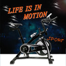 Indoor Cycling Bike with Quiet Flywheel & Pulse Sensor/Ipad Mount Pro Exercise Bike/Silver