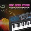 Hillo 54 Key Portable Multi-Function Electronic Keyboard With LCD Screen & Microphone